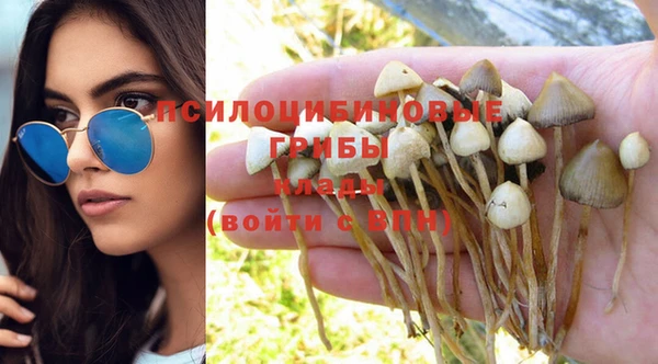 бошки Дмитриев