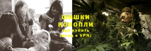 мет Елизово