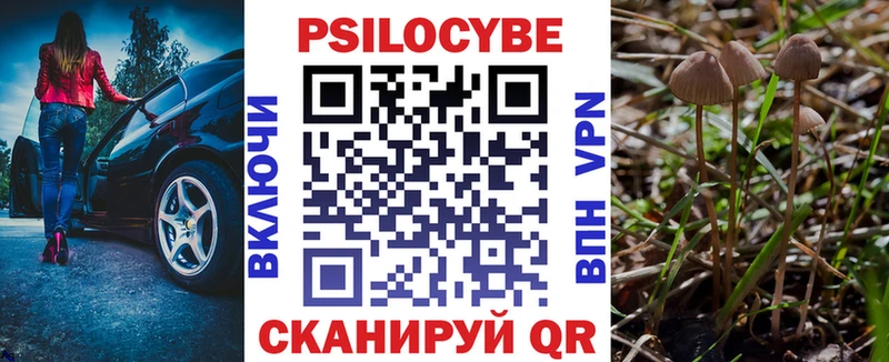 Галлюциногенные грибы Magic Shrooms  купить наркотик  Ликино-Дулёво 